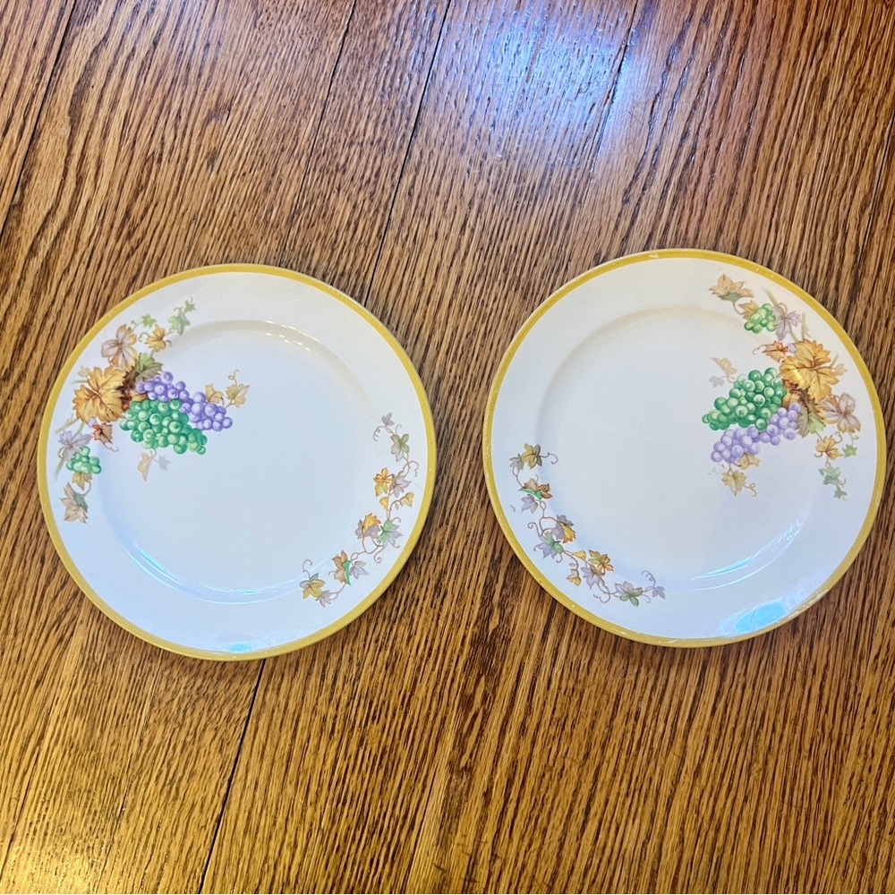 Set of 2 Vintage Crooksville China Co. 6” Dessert/Salad/Bread Plate Grapevine